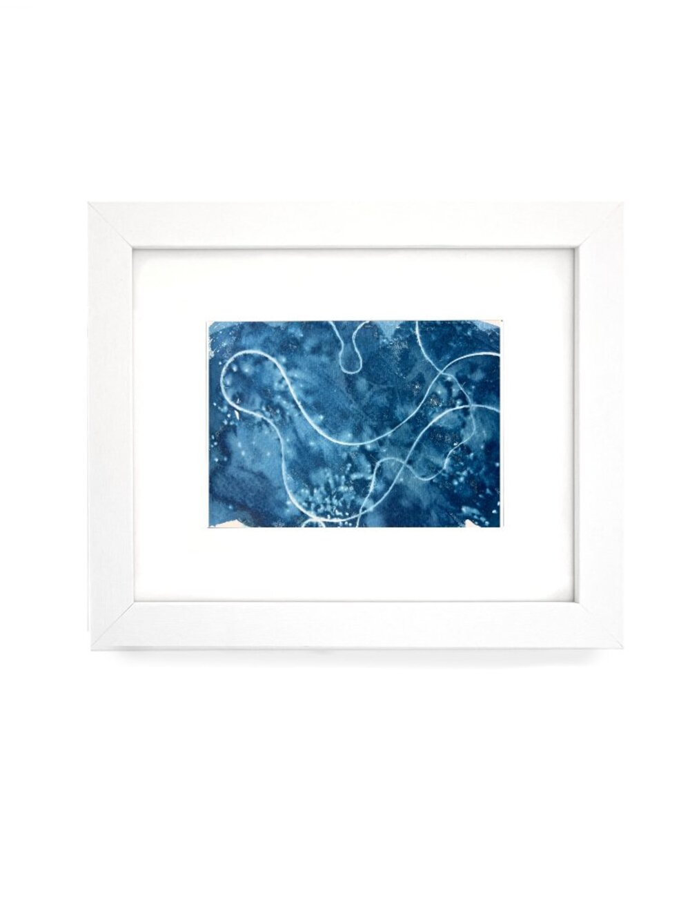 Framed Original Artwork, Cyanotype, Dove, 5x7 finished
